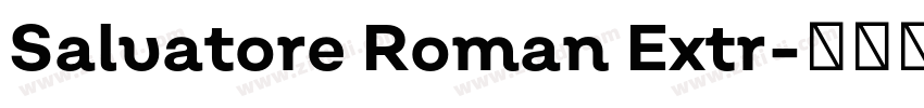 Salvatore Roman Extr字体转换 Salvatore Roman Extr字体转换